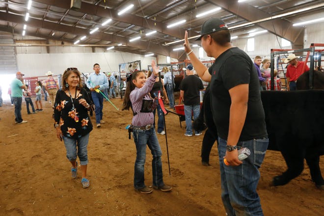 Tatum Lantana, center, gets a high five from Matt Denetclaw, right, after Lantana scored second place with her steer Major, Thursday, Aug. 16, 2018 at the annual beef show at the San Juan County Fair at McGee Park in Farmington.