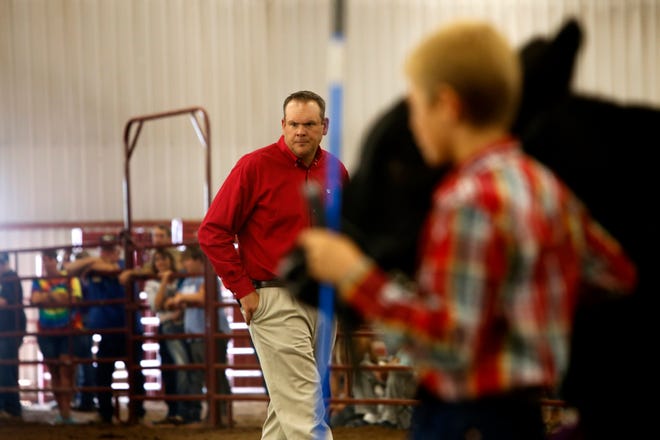 Beef show judge Ben Cooley examines steers, Thursday, Aug. 16, 2018 during the annual beef show at the San Juan County Fair at McGee Park in Farmington.
