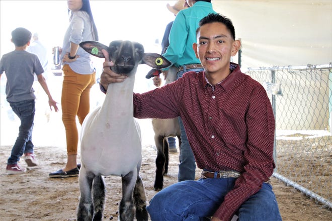 Dally Carlisle poses for a picture, Thursday, Oct. 3, 2019, with his lamb, Turner, during the 4-H lamb competition at the 108th Northern Navajo Nation Fair in Shiprock.