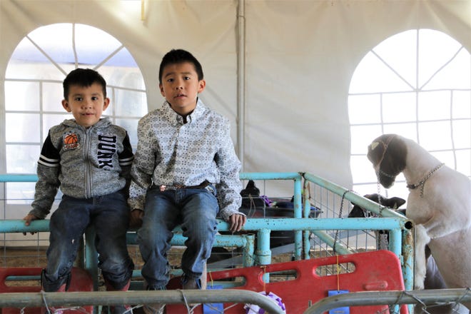 Children sit on a fence, Thursday, Oct. 3, 2019, near the lamb stables during the 108th Northern Navajo Nation Fair in Shiprock.