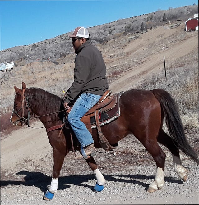 Rex is a 9-year-old mustang gelding. He is 13.1 hands high. He came to Four Corners Equine Rescue with a general understanding of haltering, leading and loading. Rex is in saddle training. He is not inclined to spook and is also not inclined to run away. He is current on teeth floating, vaccinations, deworming and farrier work. Rex will do well with a person who has some experience riding green horses. The adoption fee for Rex is $400. For more information, contact Four Corners Equine Rescue at 505-334-7220 or visit www.fourcornersequinerescue.org.