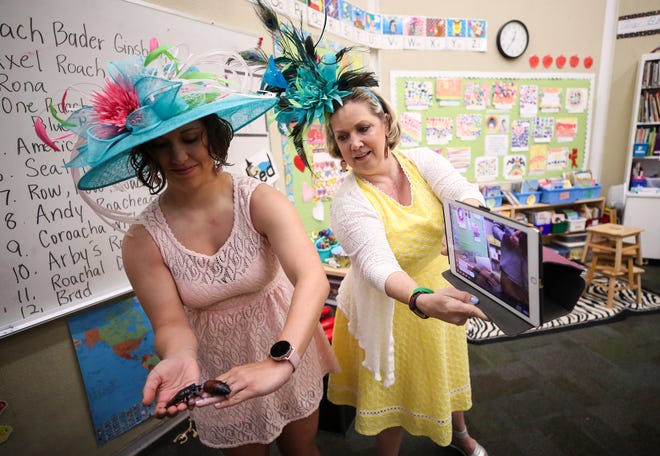 Wearing a Derby dress with a fascinator and Madagascar cockroaches in hand, Caitlin Brock holds the insects while her mother, second grade teacher Joanne Brock, uses her iPad to livestream the action to her 24 homebound students. The St. Francis School teacher has been coming to her classroom several times to teach since the coronavirus pandemic has shut down schools. Only three or four teachers are in the building and social distancing is maintained.