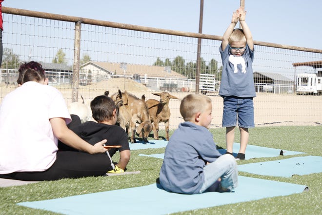 Carlsbad Yoga Barre celebrates its grand opening on Oct. 10, 2020 with a session of Goat Yoga which is one part yoga, one part pet therapy.