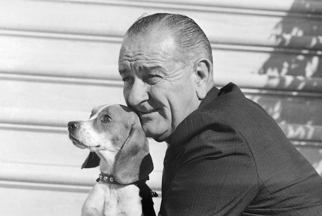 President Lyndon Johnson poses with Freckles, one of his pet beagles, at the White House in Washington, Nov. 4, 1966.