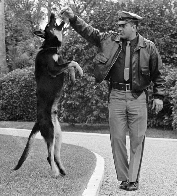 The Kennedy family's 6-month-old German shepherd Clipper plays with a patrolman in 1963.