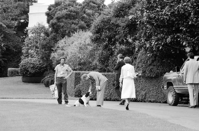 President Jimmy Carter and Rosalynn Carter play with their dog "Grits" on the south lawn of the White House in Washington D.C. in 1978.